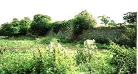 Monastic ruins at Killeigh