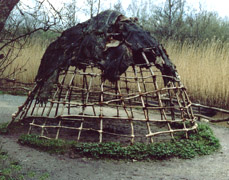 Mesolithic house being built - modern reconstruction