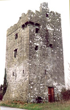 Tower house in ruins, Clonfert